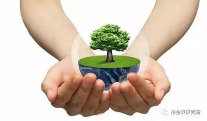 樓金貝貝殼粉已經(jīng)馳騁墻面,你卻還停留在乳膠漆時代?