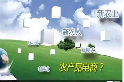 加快農(nóng)業(yè)信息化建設(shè)，拓展農(nóng)產(chǎn)品營(yíng)銷(xiāo)新渠道