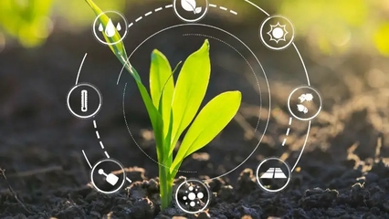 菜東家官網(wǎng)資源全解析 賦能農(nóng)業(yè)產(chǎn)業(yè)鏈的數(shù)字新生態(tài)