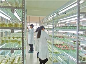 三保奇花 生物科技賦能產業升級，生物農藥揚帆出海